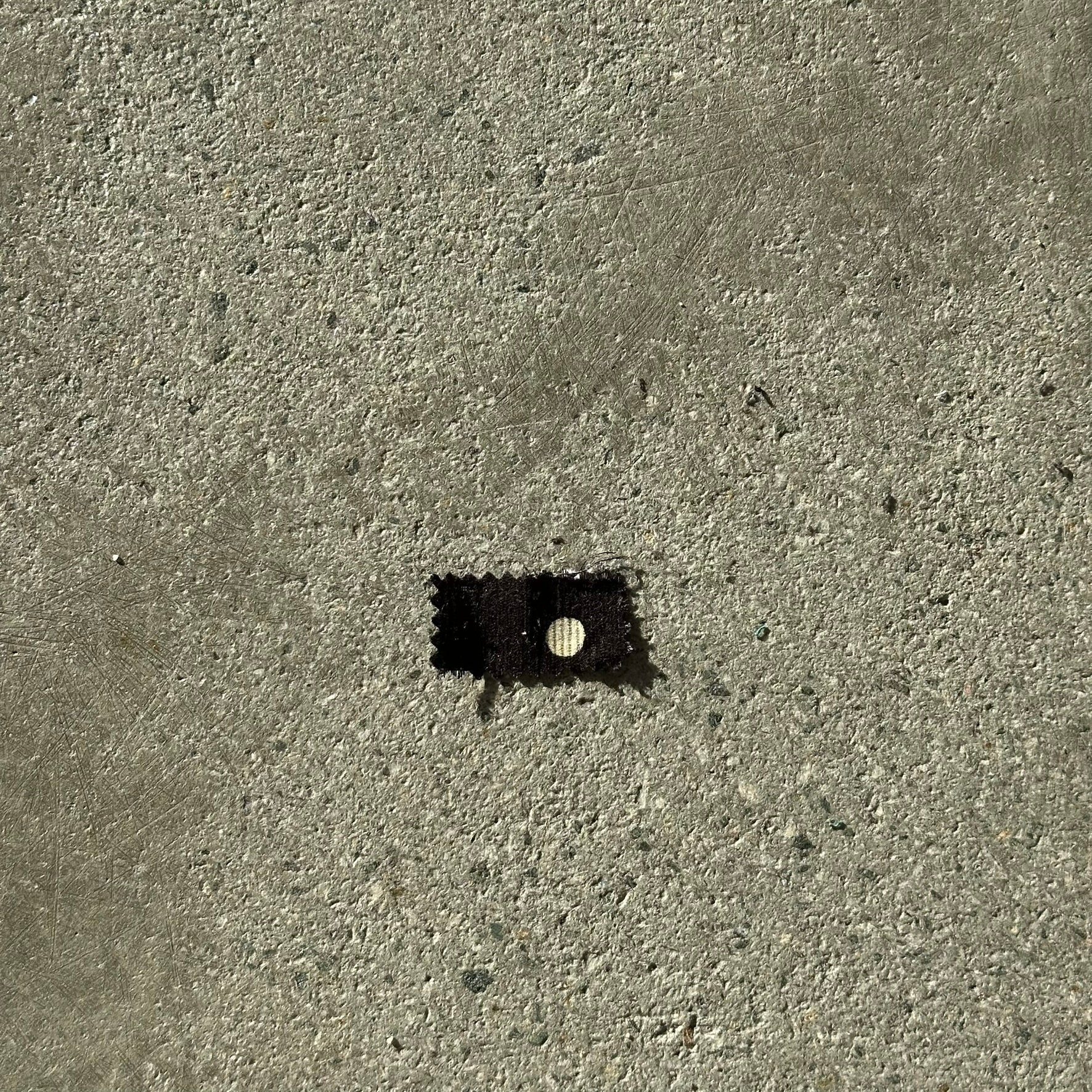 Zoom