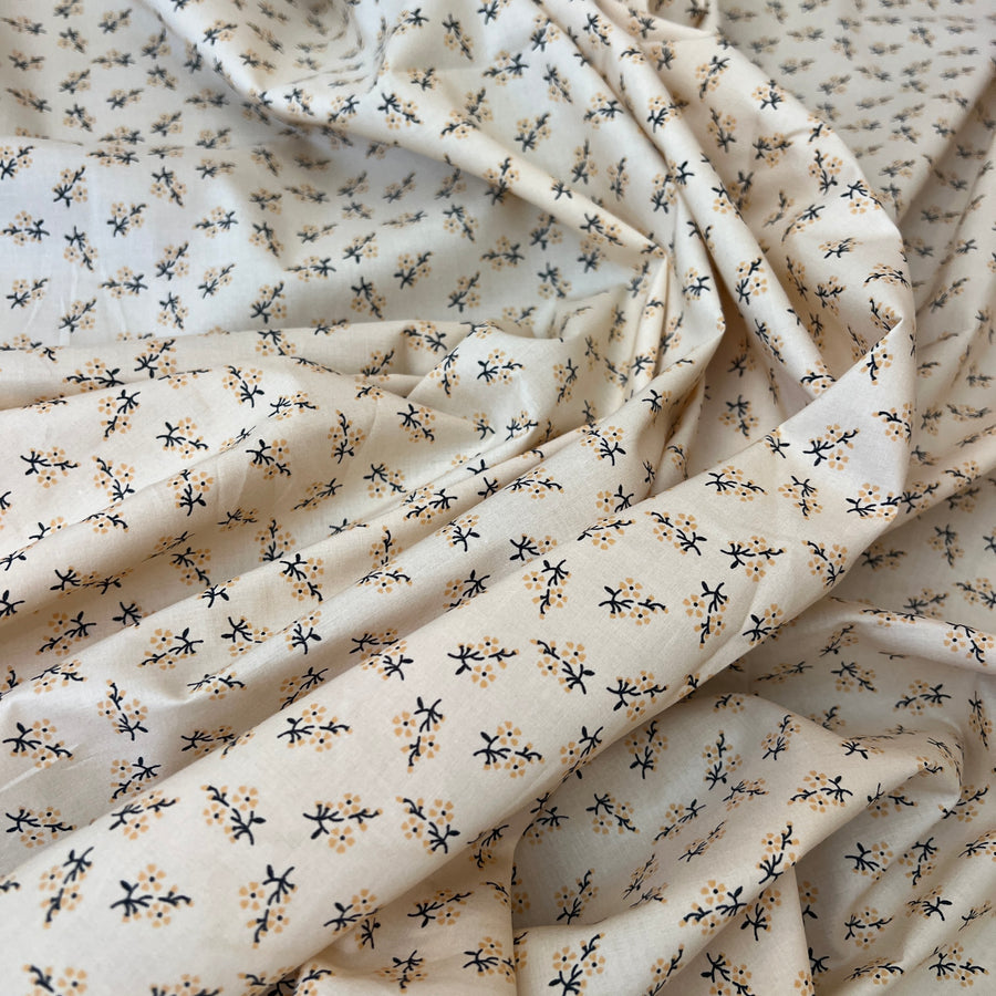 Sorelle Apricot    $22 per metre