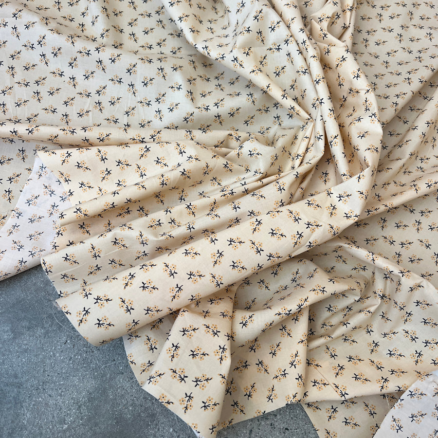 Sorelle Apricot    $22 per metre