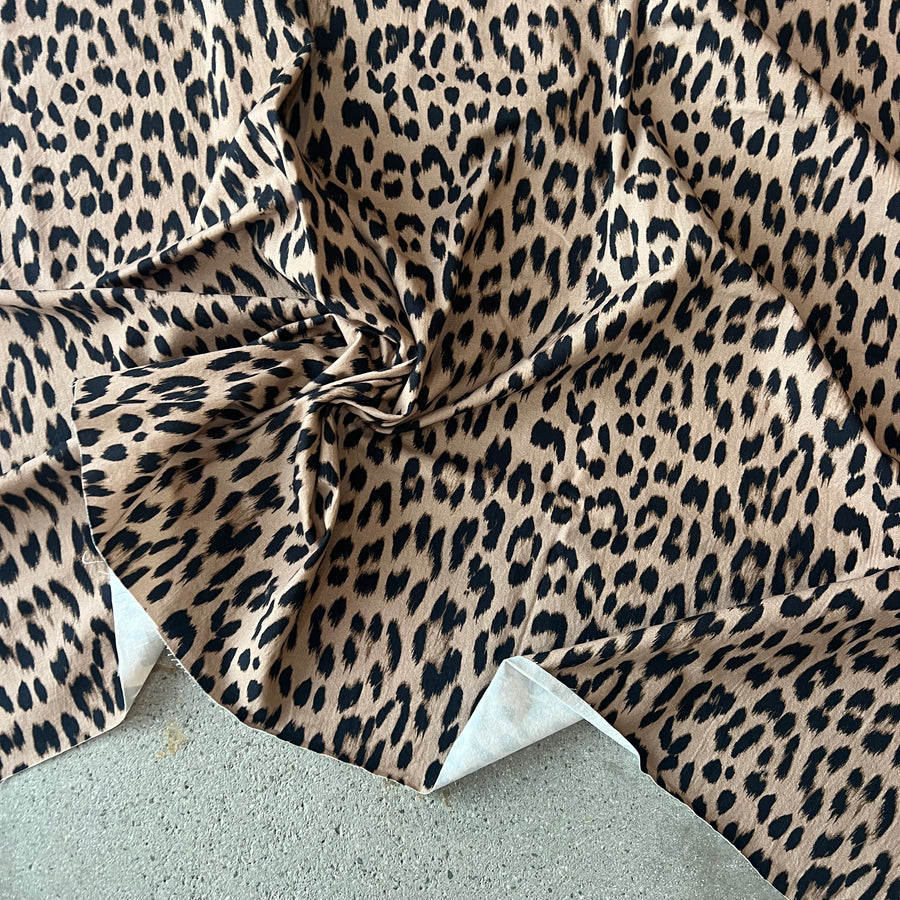 Sample Leopard