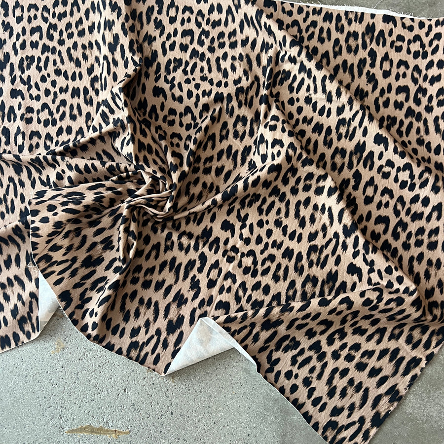 Sample Leopard